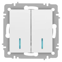 Выключатель Accent 6-105-01М двойн. с подсветкой 10А-250В IP20 СУ AL/CU бел. матов. Intro Б0063507
