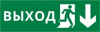 Пиктограмма ДСО-IP65-Н "Выход Фигура - вниз 2" DEKraft 60513DEK
