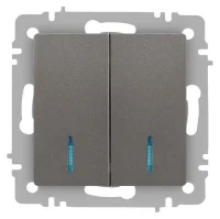 Выключатель Accent 6-105-09 двойн. с подсветкой 10А-250В IP20 СУ AL/CU титан Intro Б0063525