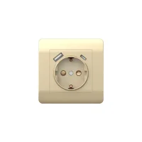 Розетка NEW3-E 16А с заземл. защ. шторки с 2-мя заряд. устройствами USB A+C 5В/2.1А шампань CHINT 431453