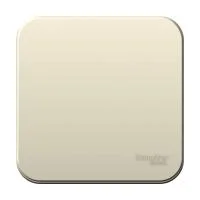 Выключатель 1-кл. ОП Blanca 6А IP20 (сх. 1) 250В молочн. SE BLNVA061002
