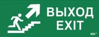 Этикетка самоклеящаяся "Выход/лестница вверх/фигура" ССА 1005 IEK LPC10-1-35-13-VLVVF