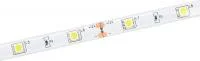 Лента светодиодная LED LSR-5050WW30-7.2-IP65-12В (уп.5м) IEK LSR2-1-030-65-3-05