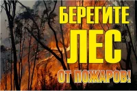 Знак "Берегите лес от огня!" 1200х800мм EKF zn-1-02