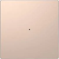 Клавиша одинарная Merten D-Life PlusLink без символов SD шампань SchE MTN5210-6051