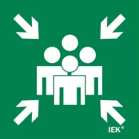 Этикетка самоклеящаяся 150х150мм "Место сбора" IEK LPC10-1-15-15-MSTS