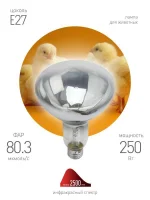 Излучатель тепловой (лампа инфракрасная) ИКЗ 220-250 R127 250Вт E27 IP20 КЭЛЗ Б0042991 Излучатель тепловой (лампа инфракрасная) ИКЗ 220-250 R127 250Вт E27 IP20 КЭЛЗ Б0042991