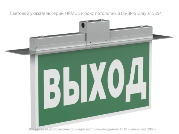 Указатель световой BS-FIRMUS-71-S1-INEXI2 Белый свет a18967
