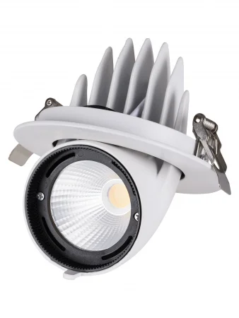 Светильник встраиваемый поворотный "Акцент-1" LED DSL-01-030-NW 30 Вт, 24°, 4000 К, 90 Ra, IP40, TDM