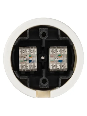 Розетка двойная компьютерная RJ45 сл. кость «Болонь» TDM