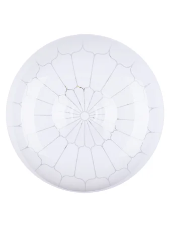 Светильник светодиодный LED СПС 03 22Вт с изменением яркости и цвета 2700К-6500К D35см, Паутина TDM