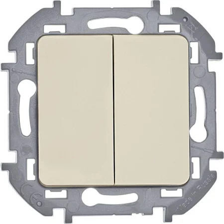 Выключатель 2-кл. Inspiria 10А IP20 250В 10AX механизм сл. кость Leg 673621
