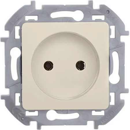Розетка 1-м СП Inspiria 16А IP20 250В 2P механизм сл. кость Leg 673711
