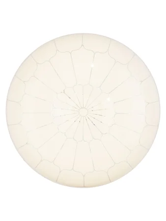 Светильник светодиодный LED СПС 03 22Вт с изменением яркости и цвета 2700К-6500К D35см, Паутина TDM