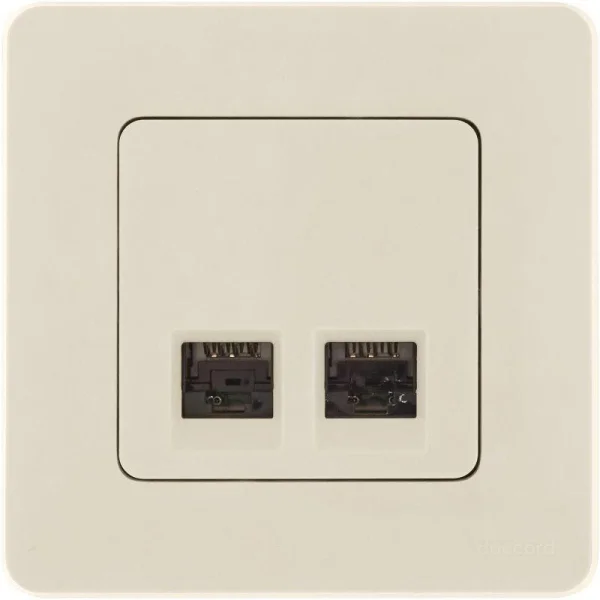 Розетка компьютерная 2-м Inspiria RJ45 кат.5E UTP сл. кость Leg 673836