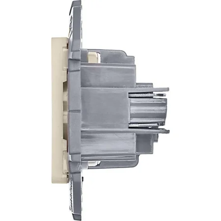 Розетка 1-м СП Inspiria 16А IP20 250В 2P механизм сл. кость Leg 673711