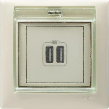 Розетка USB 2-м СП Valena сл. кость Leg 774170
