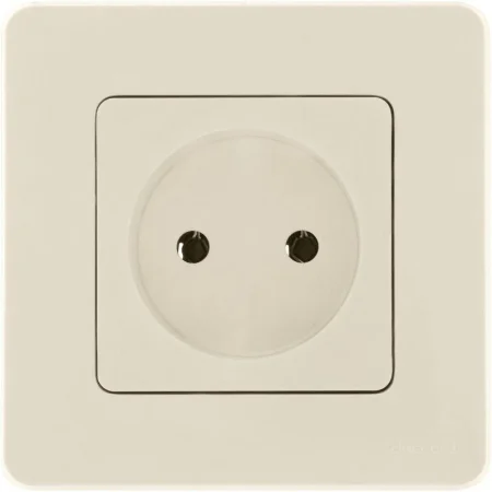Розетка 1-м СП Inspiria 16А IP20 250В 2P механизм сл. кость Leg 673711