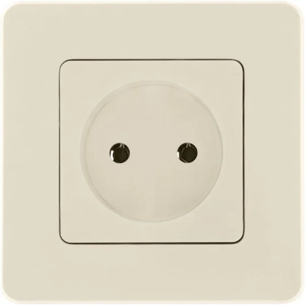 Розетка 1-м СП Inspiria 16А IP20 250В 2P механизм сл. кость Leg 673711
