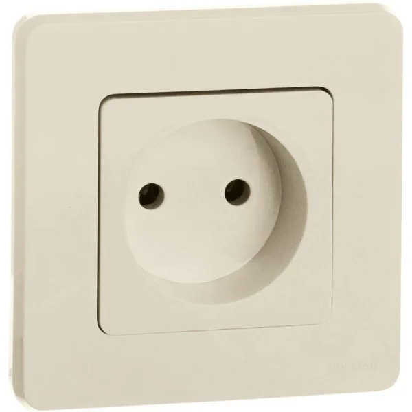 Розетка 1-м СП Inspiria 16А IP20 250В 2P механизм сл. кость Leg 673711