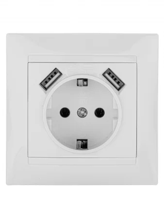 Розетка 2П+З 16А 250В + 2 USB порта 2,1А 5В белая "Лама" TDM