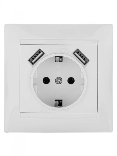 Розетка 2П+З 16А 250В + 2 USB порта 2,1А 5В белая "Лама" TDM
