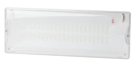 Светильник светодиодный DPA-301-0-65 40LED 3ч IP65 аварийный непостоянный Эра Б0044405