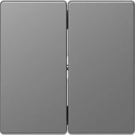 Клавиша для 2-кл. выкл. Merten D-Life SD нерж. сталь SchE MTN3400-6036