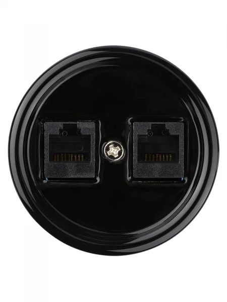 Розетка двойная компьютерная RJ45 черная «Болонь» TDM