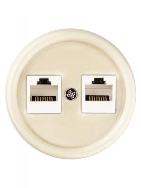 Розетка двойная компьютерная RJ45 сл. кость «Болонь» TDM
