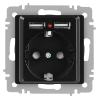 Розетка Accent 6-410-05 P+E Schuko со шторками 16А-250В + 2хUSB IP20 СУ антрацит Intro Б0063698