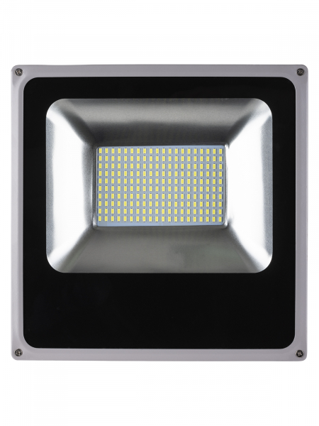 Прожектор светодиодный СДО100-2-Н 100 Вт, 6500 К, серый