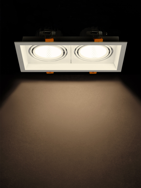 Светильник встраиваемый карданный "Фокус-1" LED CSL-01-2x11-WW 22 Вт, 35°, 3000 К, 80 Ra, IP20, TDM