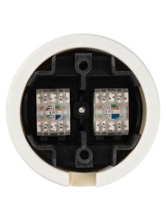 Розетка двойная компьютерная RJ45 сл. кость «Болонь» TDM