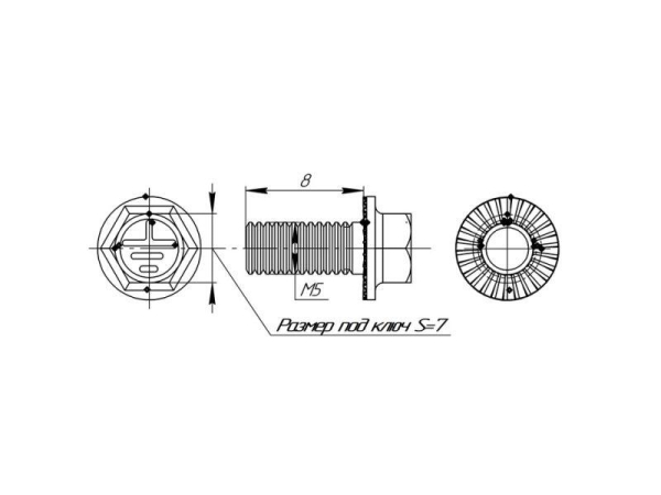 Винт М5х8 TDZ EKF wm5x8-TDZ