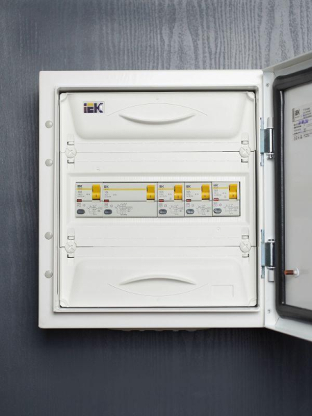 Выключатель дифференциального тока (УЗО) 2п 63А 100мА тип ACS ВД1-63S IEK MDV12-2-063-100