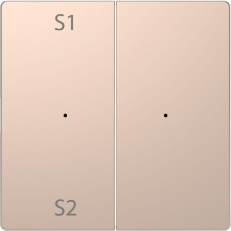 Клавиша двойная Merten D-Life PlusLink с S1/S2 пусто SD шампань SchE MTN5226-6051