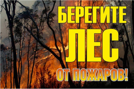 Знак "Берегите лес от огня!" 1200х800мм EKF zn-1-02