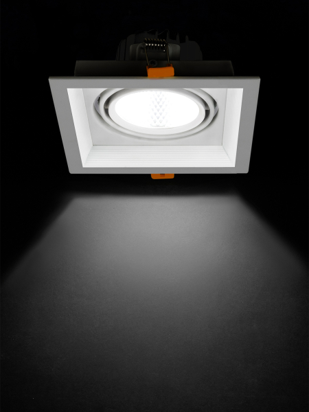 Светильник встраиваемый карданный "Фокус-1" LED CSL-01-1x11-NW 11 Вт, 35°, 4000 К, 80 Ra, IP20, TDM