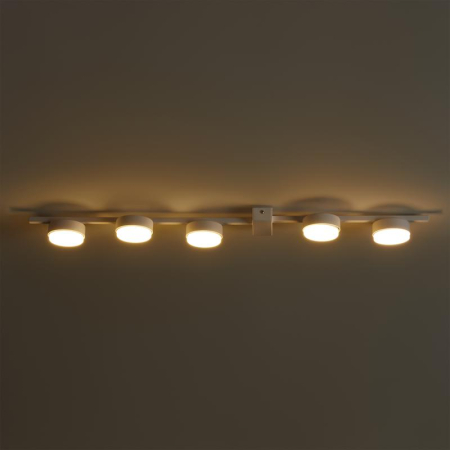 Светильник потолочный Lamia 5х40Вт GX53 IP20 Freya FR5182CL-05W