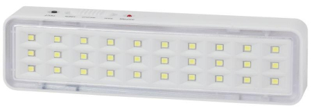 Светильник светодиодный DBA-101-0-20 30LED 5ч IP20 аварийный непостоянный Эра Б0044394