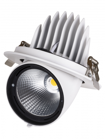 Светильник встраиваемый поворотный "Акцент-1" LED DSL-01-040-WW 40 Вт, 24°, 3000 К, 90 Ra, IP40, TDM